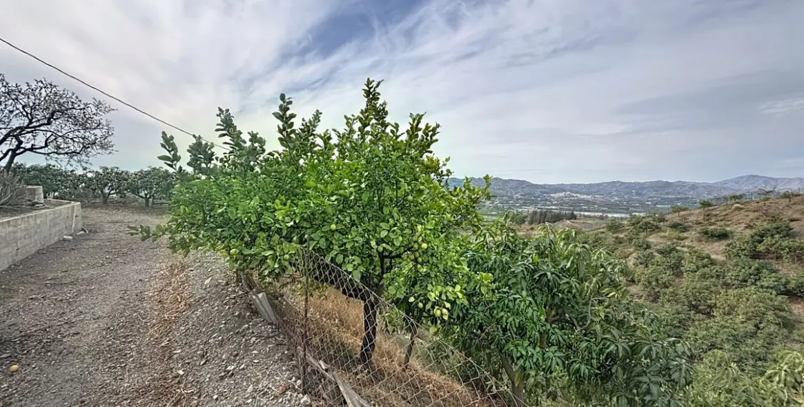 Продажа дома на две семьи в Vélez-Málaga 39