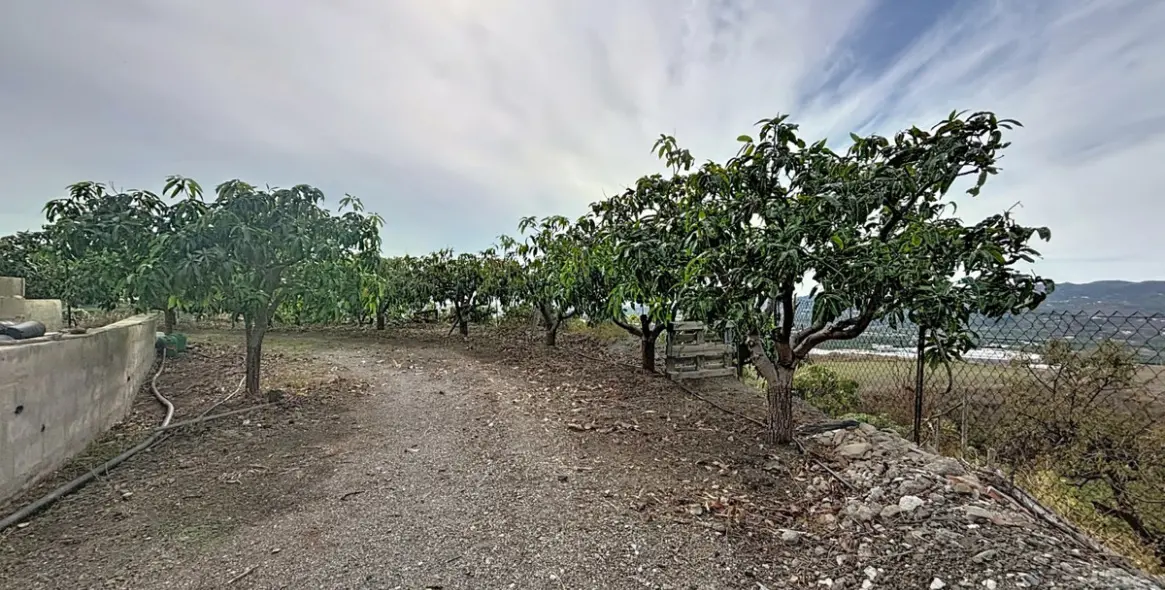 Продажа дома на две семьи в Vélez-Málaga 41