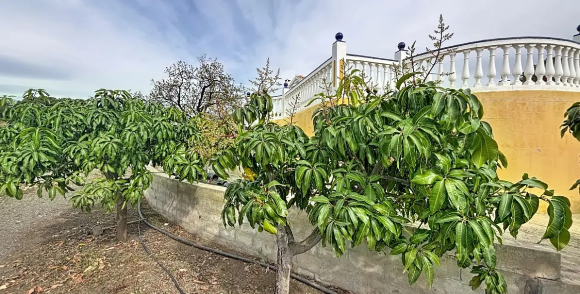 Продажа дома на две семьи в Vélez-Málaga 43