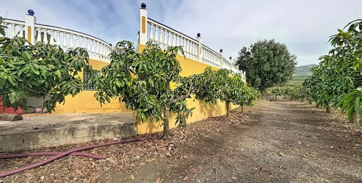 Продажа дома на две семьи в Vélez-Málaga 44