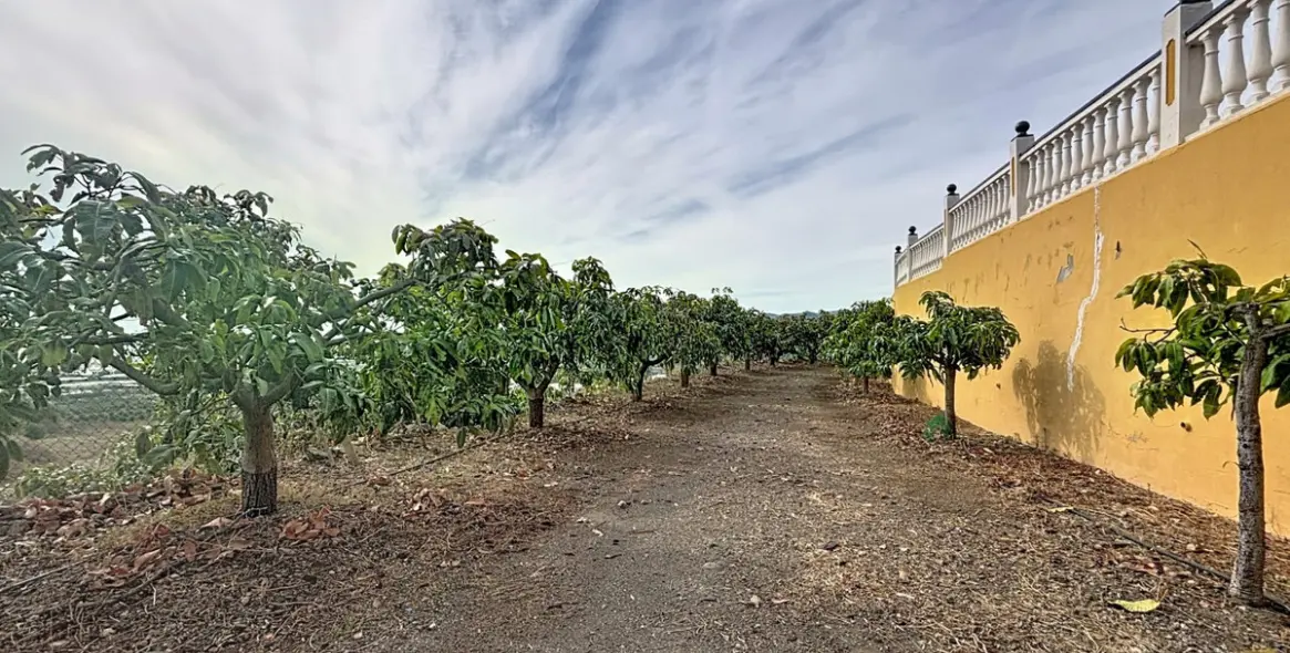 Продажа дома на две семьи в Vélez-Málaga 47