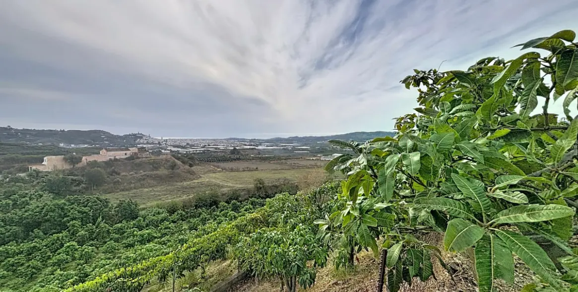 Продажа дома на две семьи в Vélez-Málaga 48