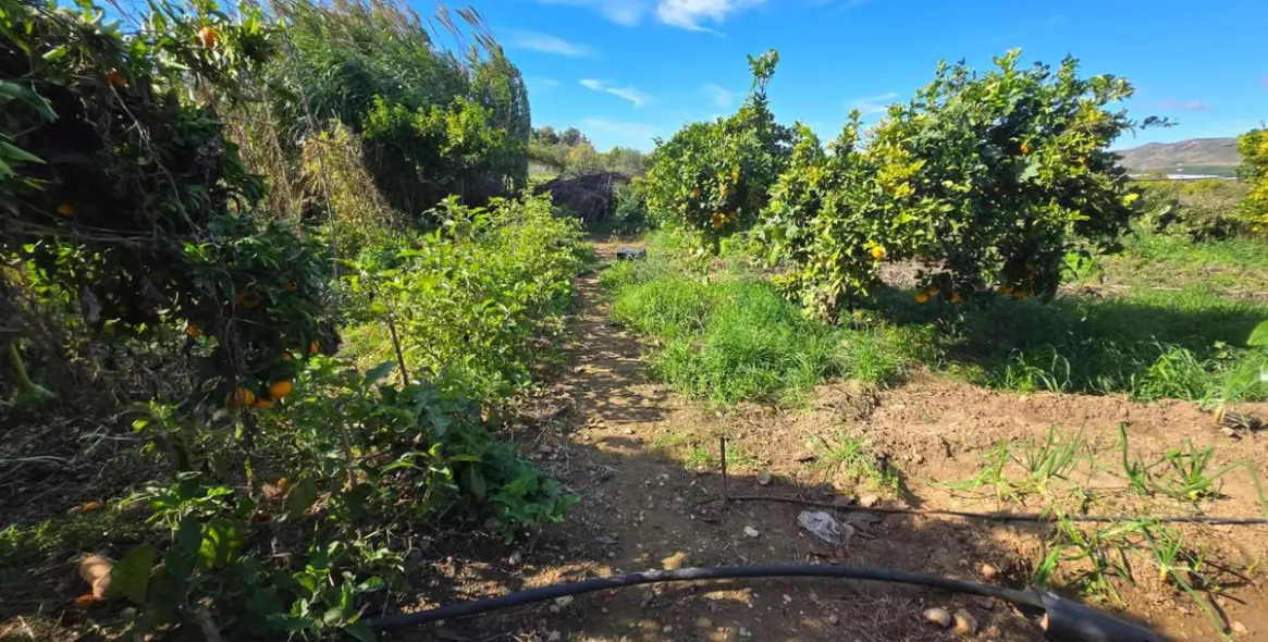 Venta de villa independiente en Alhaurín de la Torre 37