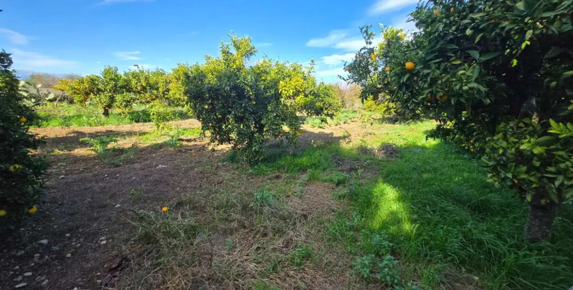 Venta de villa independiente en Alhaurín de la Torre 39