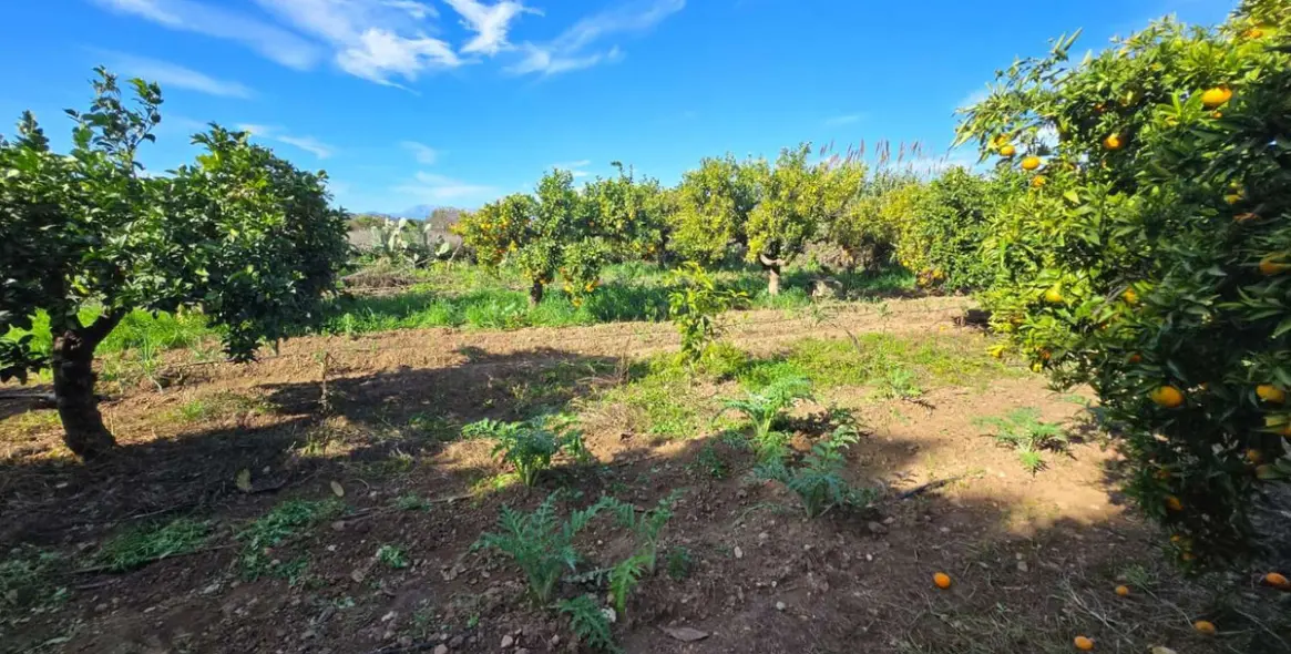 Venta de villa independiente en Alhaurín de la Torre 40