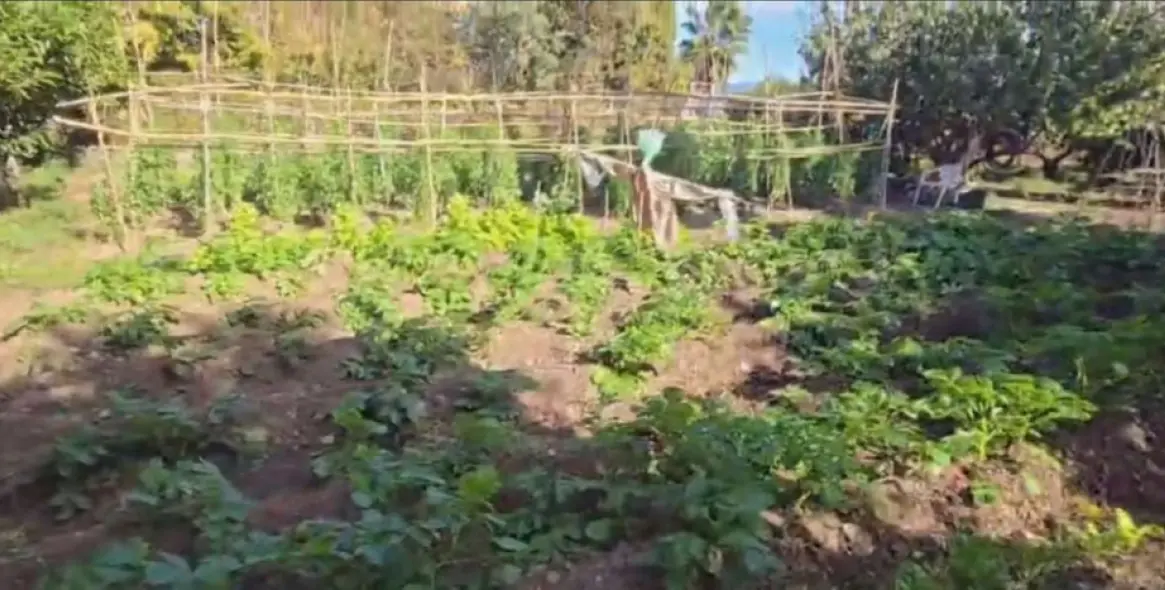 Venta de villa independiente en Alhaurín de la Torre 44