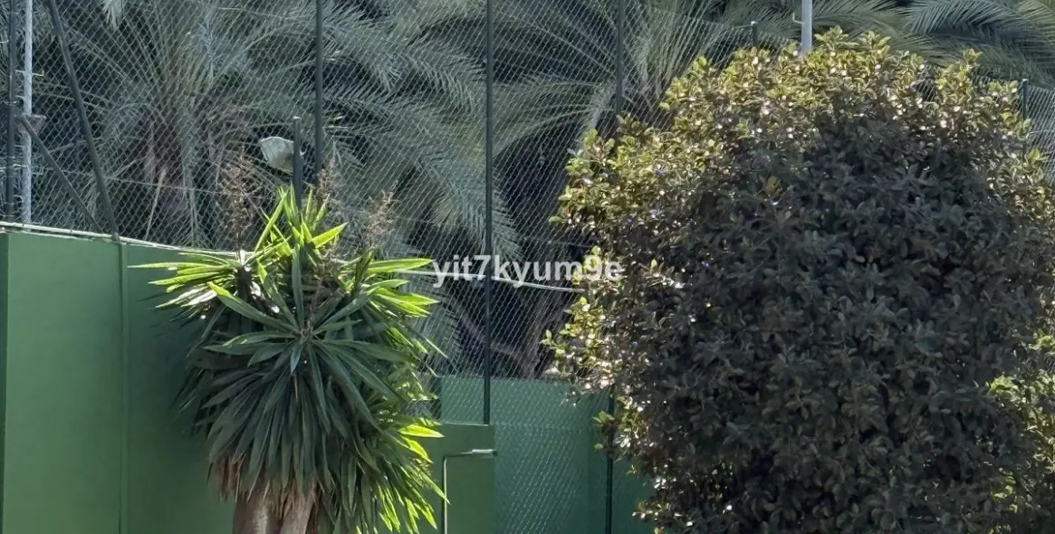 Sale of middle floor apartment in Puerto Banús 47