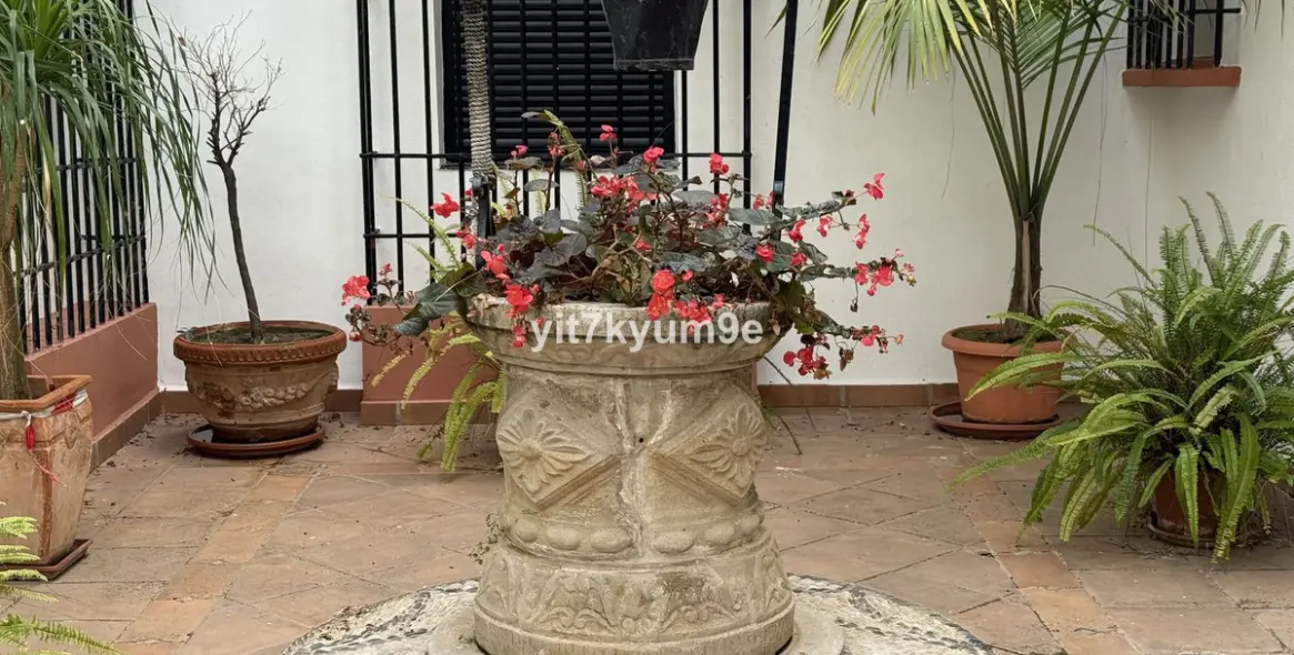 Sale of middle floor apartment in Puerto Banús 48