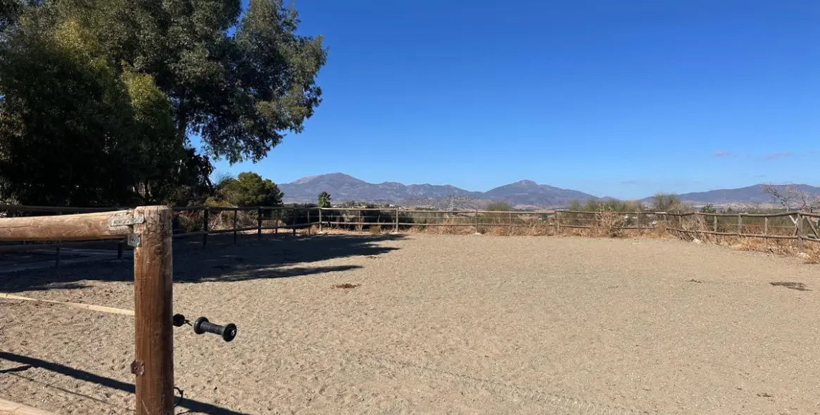 Venta de finca - cortijo en Cártama 21