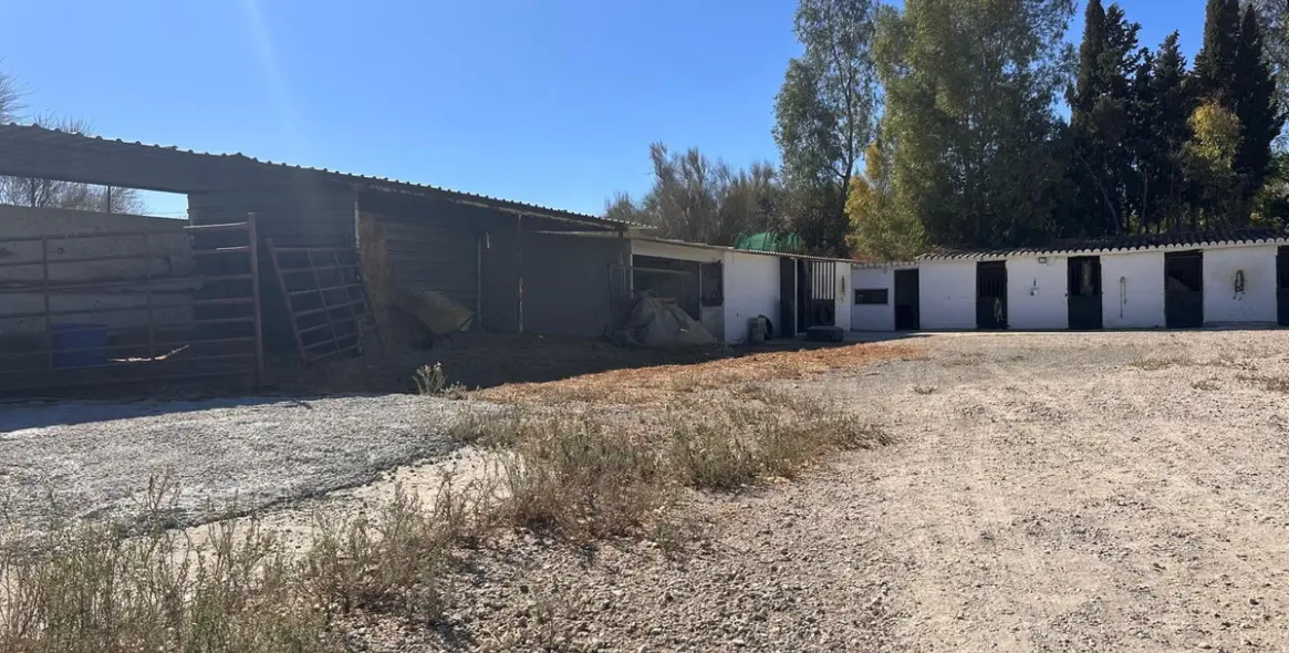 Venta de finca - cortijo en Cártama 24