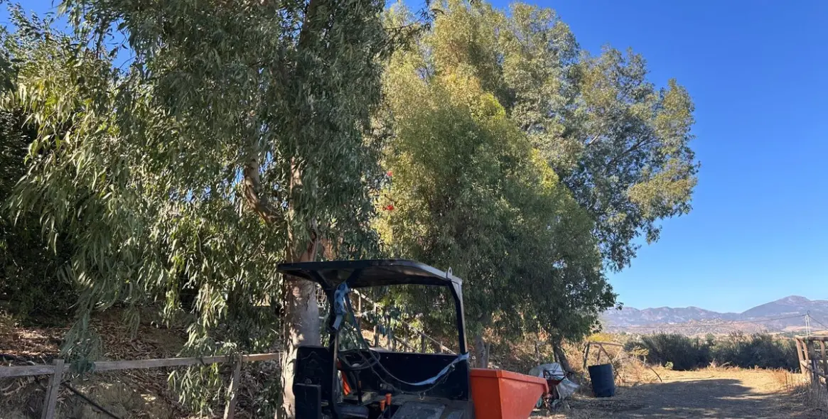 Venta de finca - cortijo en Cártama 25