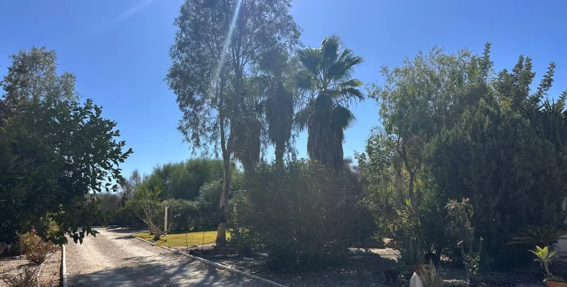 Venta de finca - cortijo en Cártama 27
