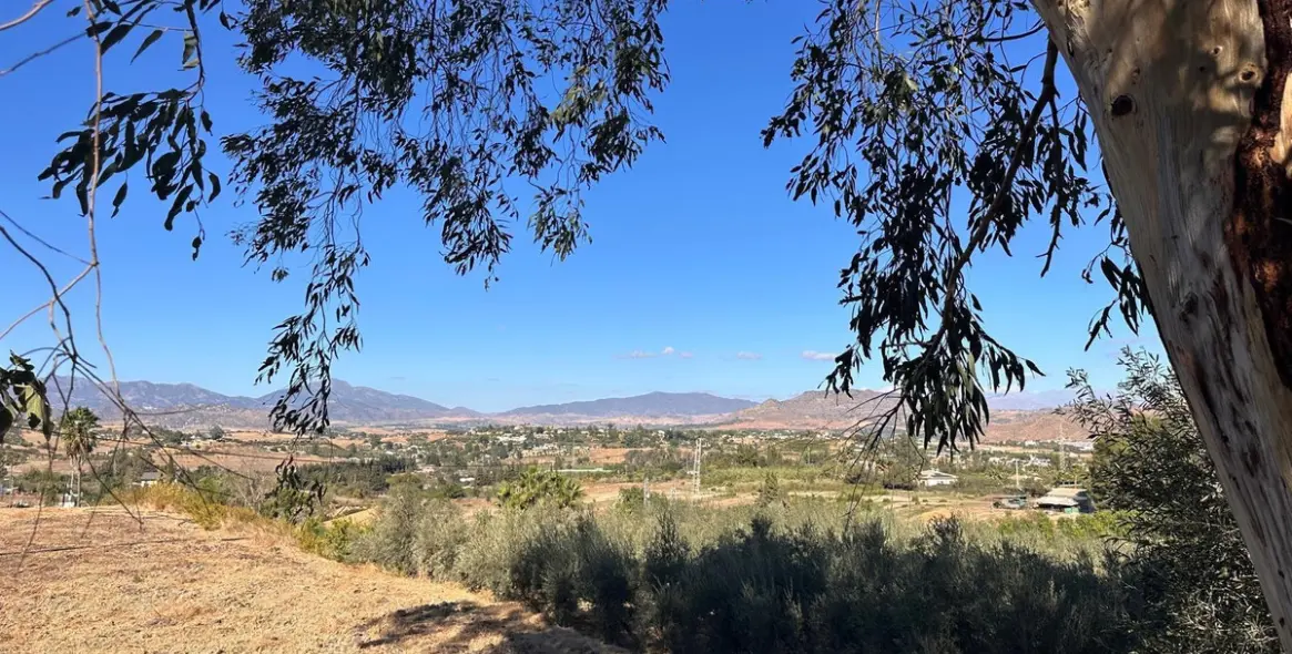 Venta de finca - cortijo en Cártama 29