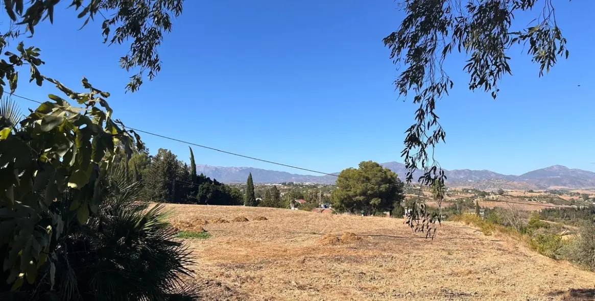 Venta de finca - cortijo en Cártama 31