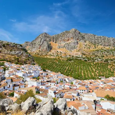 Venta de parcela residencial en Ronda