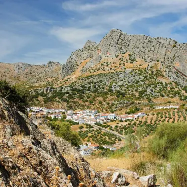 Venta de parcela residencial en Ronda