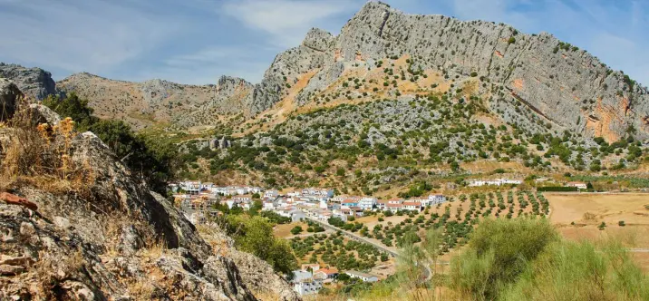 Venta de parcela residencial en Ronda 2