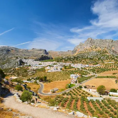 Venta de parcela residencial en Ronda