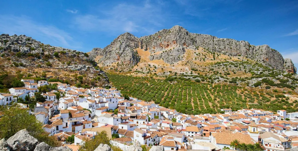Venta de parcela residencial en Ronda 1