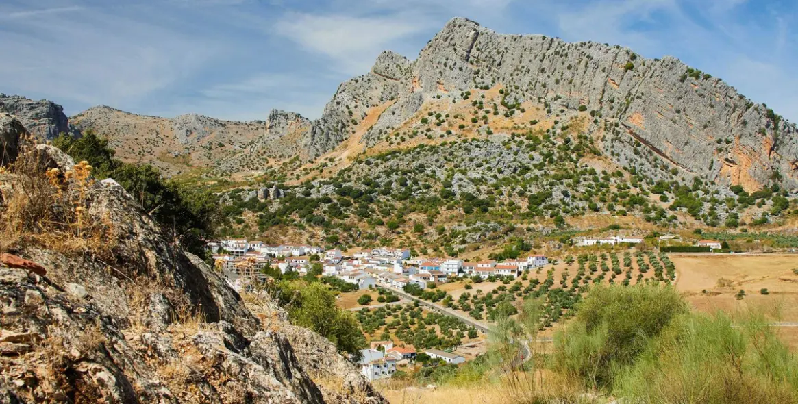 Venta de parcela residencial en Ronda 3