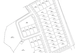 Image 7 thumb