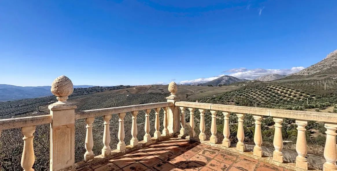 Sale of detached villa in Periana 1