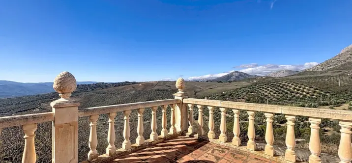 Sale of detached villa in Periana 0