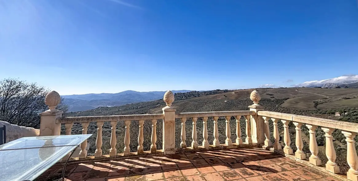 Sale of detached villa in Periana 43