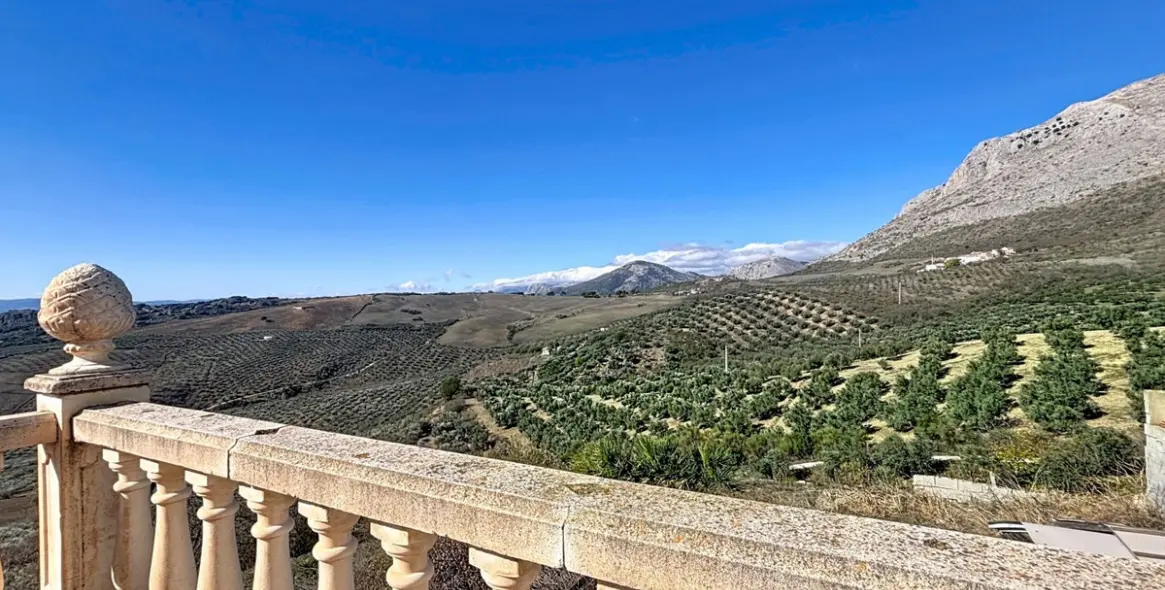 Sale of detached villa in Periana 44