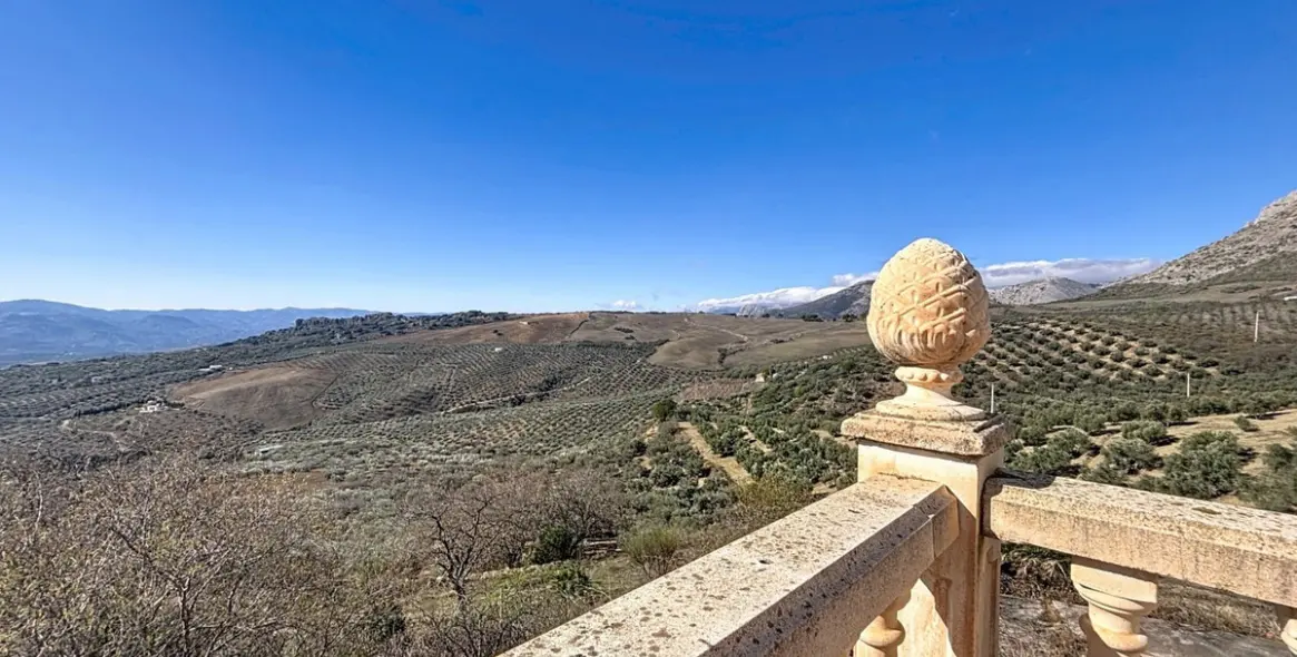 Sale of detached villa in Periana 45