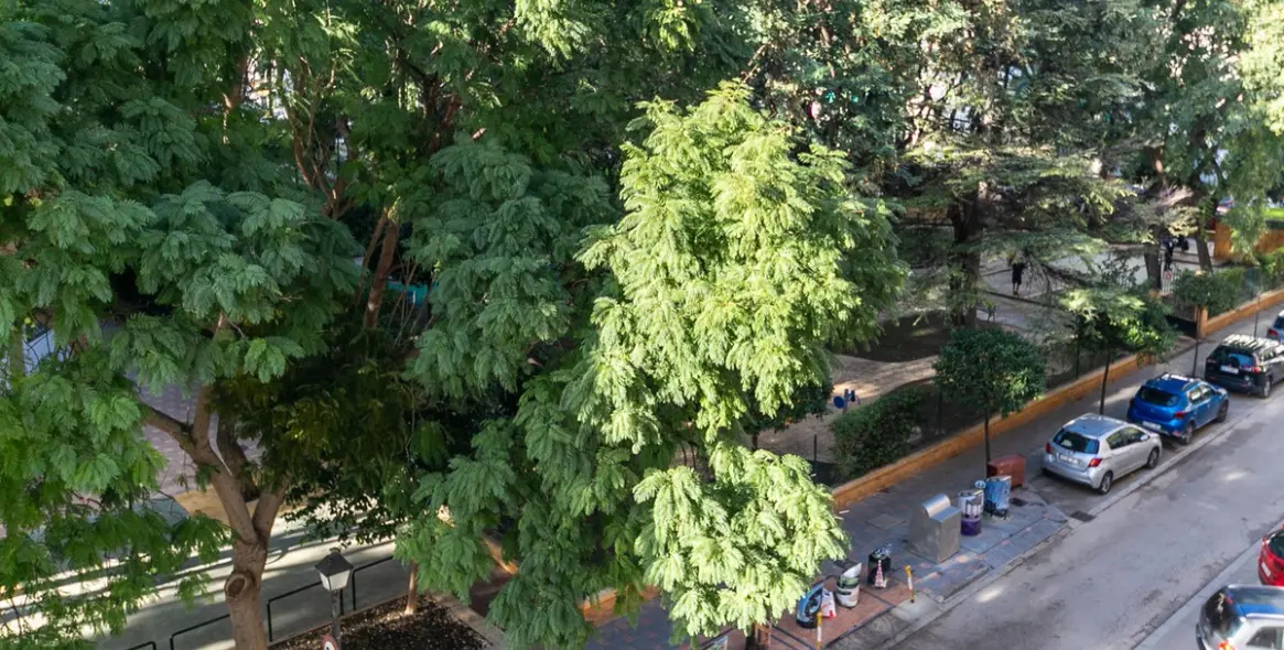 Продажа апартаментов на среднем этаже в Fuengirola 27