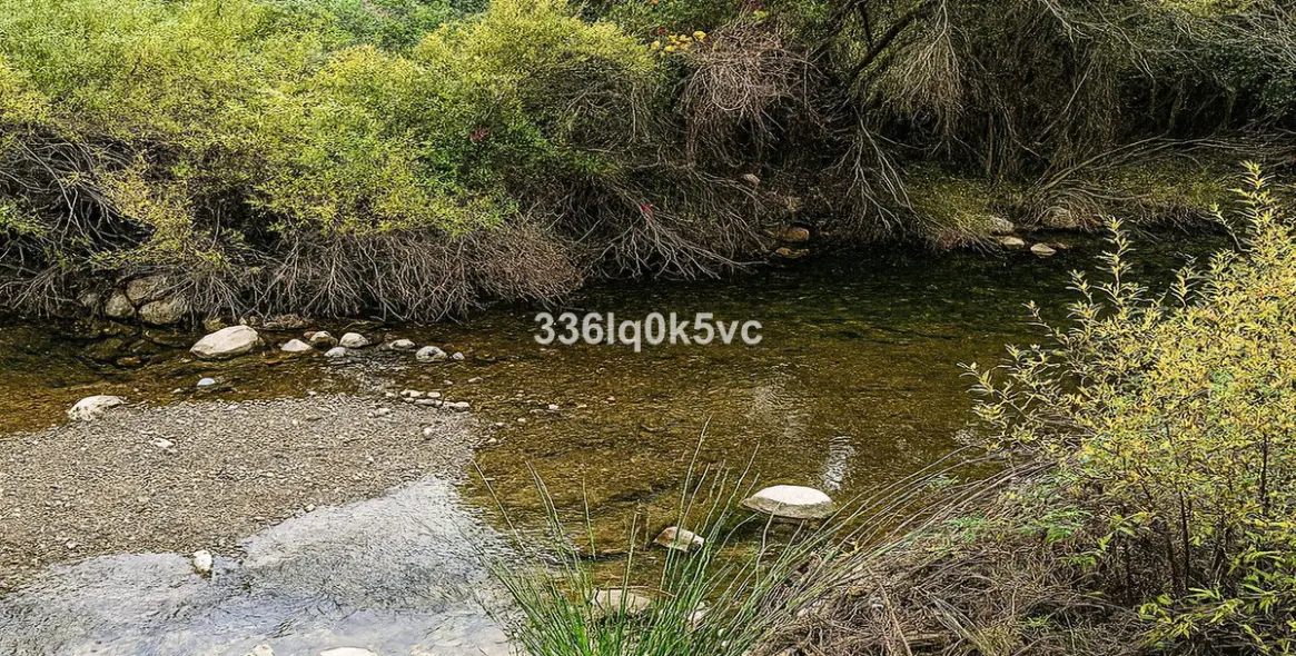 Продажа  отдельно стоящей виллы в Benahavís 9