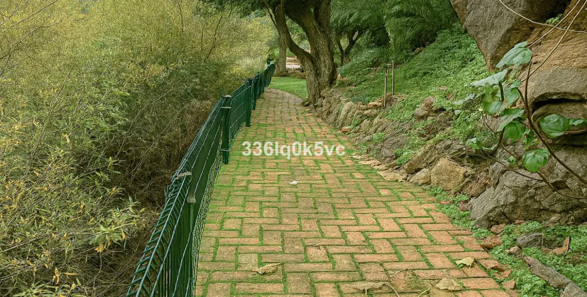 Продажа  отдельно стоящей виллы в Benahavís 34