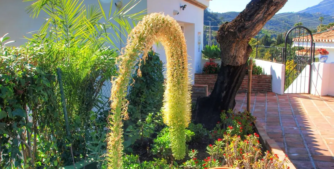 Alquiler a corto plazo de villa independiente en Estepona 20