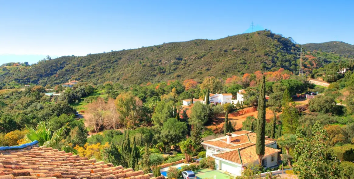 Краткосрочная аренда  отдельно стоящей виллы в Estepona 35