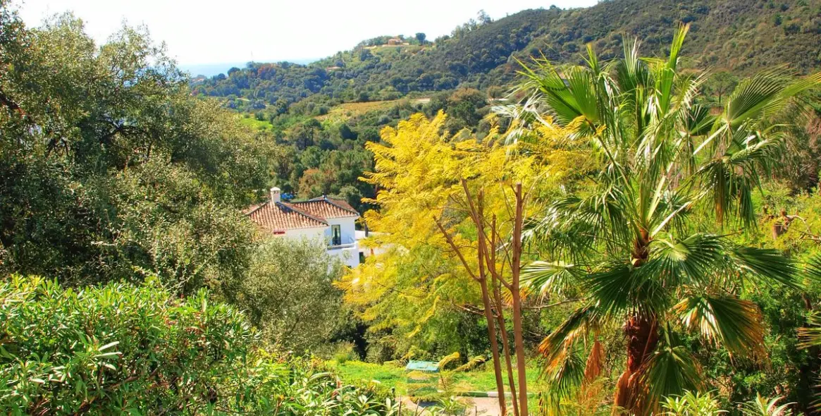 Краткосрочная аренда  отдельно стоящей виллы в Estepona 36