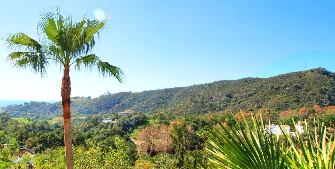 Краткосрочная аренда  отдельно стоящей виллы в Estepona 37