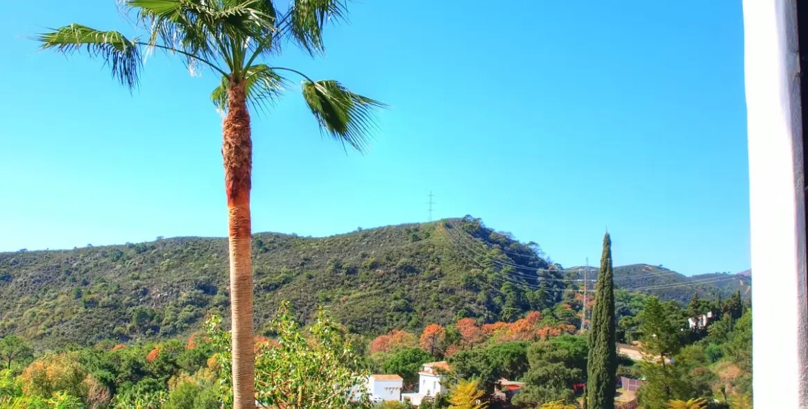 Краткосрочная аренда  отдельно стоящей виллы в Estepona 38