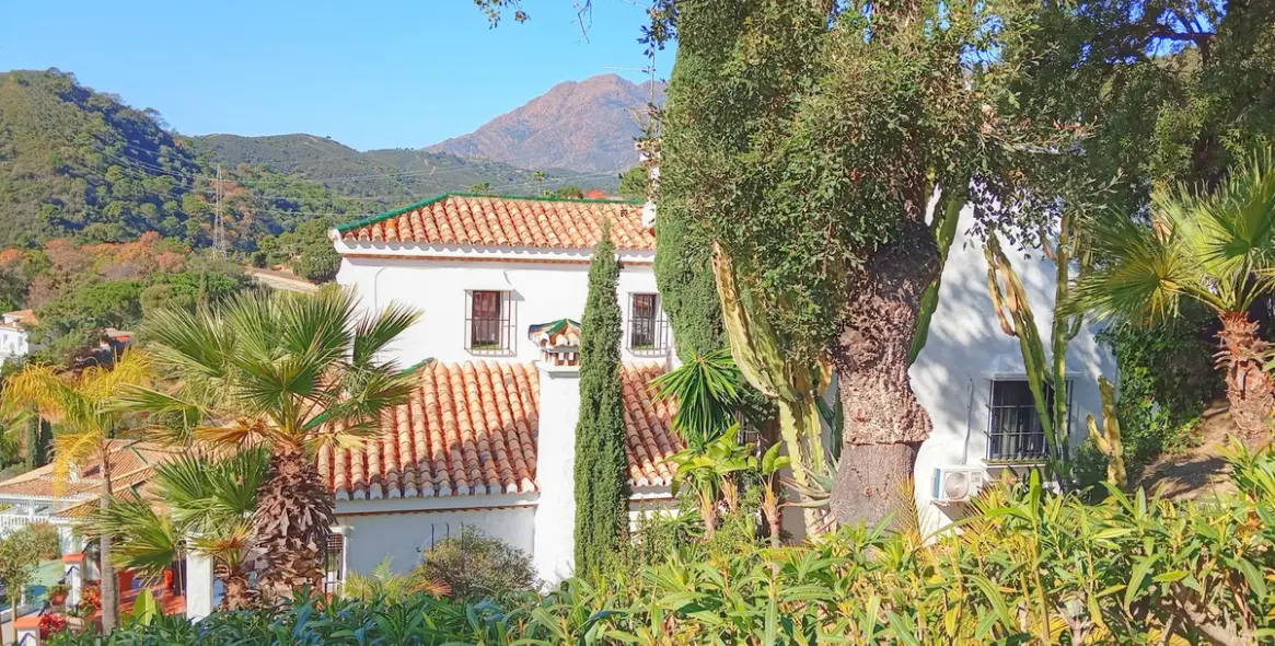 Краткосрочная аренда  отдельно стоящей виллы в Estepona 41