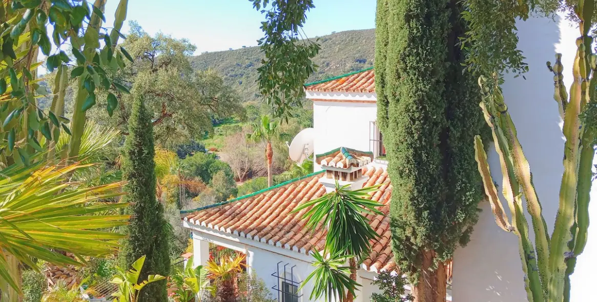 Краткосрочная аренда  отдельно стоящей виллы в Estepona 42