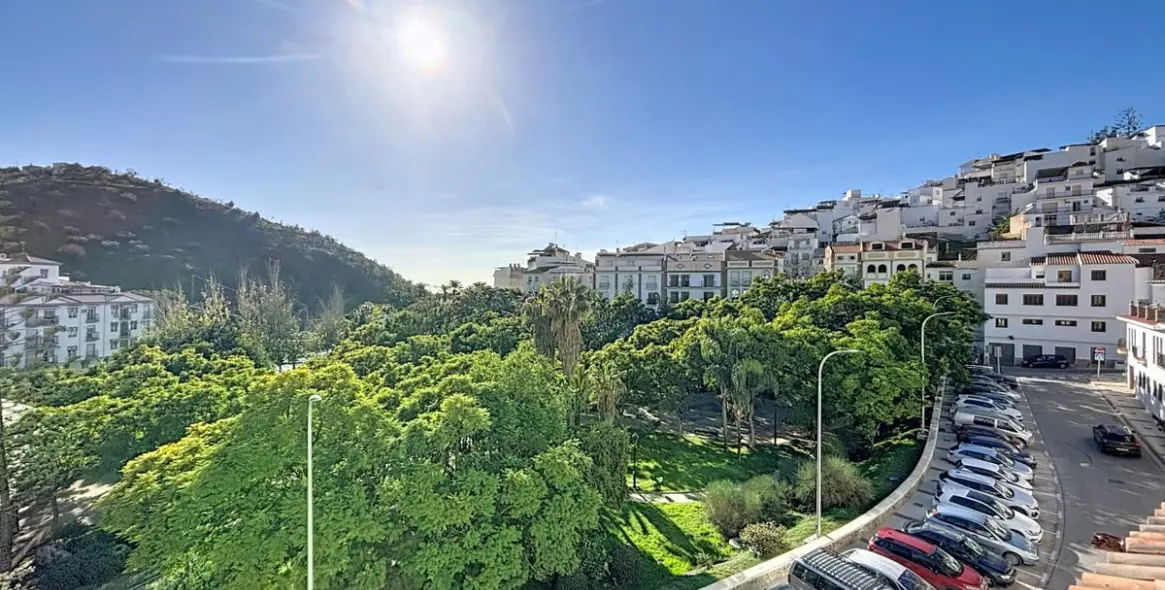 Sale of detached villa in Algarrobo 49