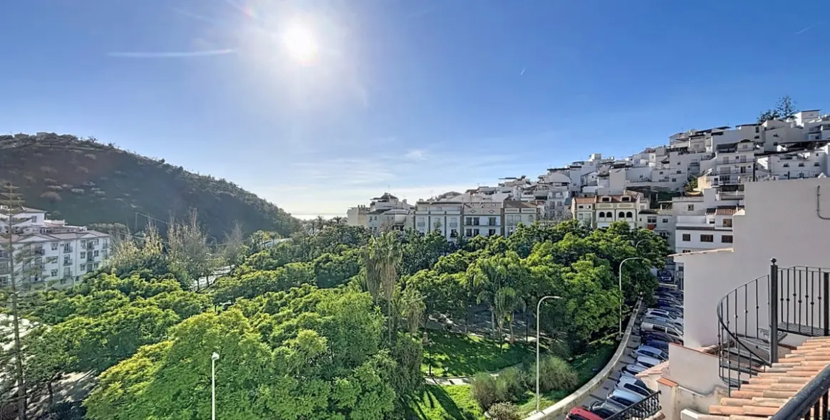 Sale of detached villa in Algarrobo 50