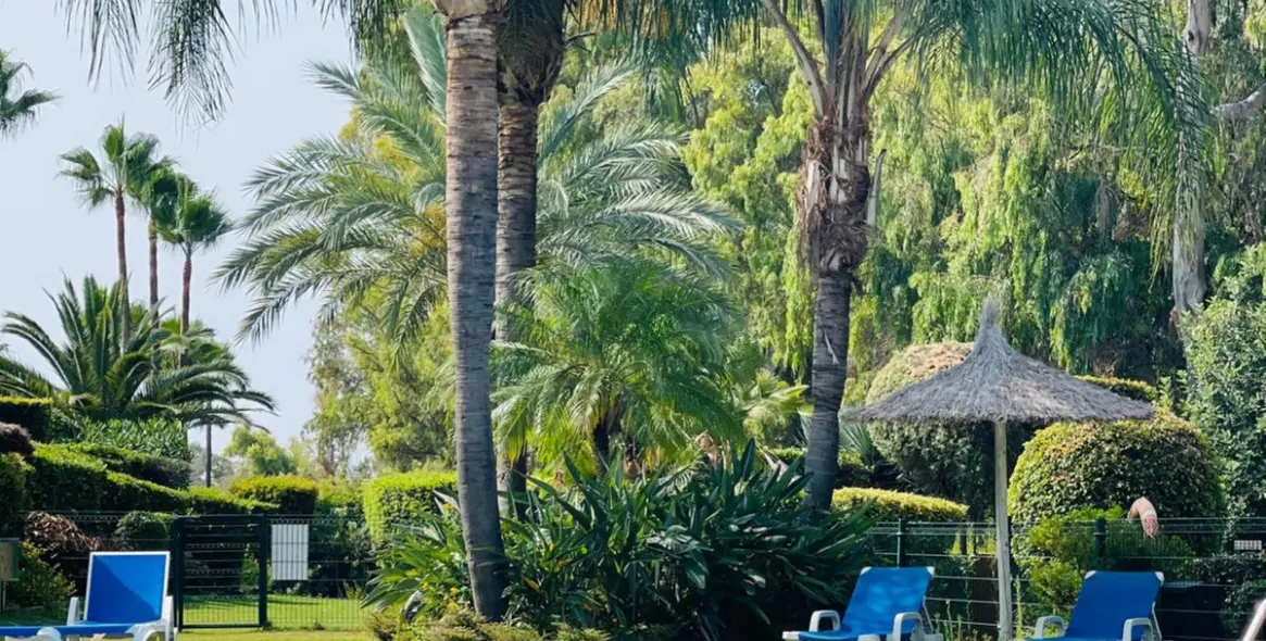 Sale of middle floor apartment in Estepona 26