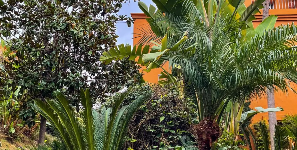 Sale of middle floor apartment in Estepona 27