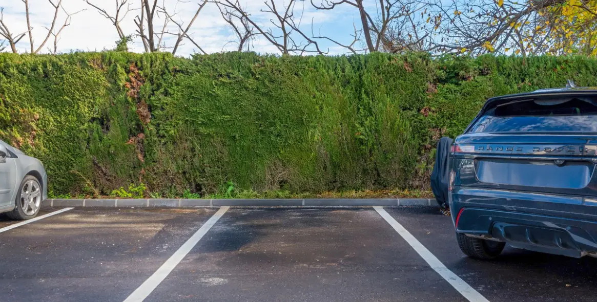 Alquiler a largo plazo de adosado en Guadalmina Baja 33