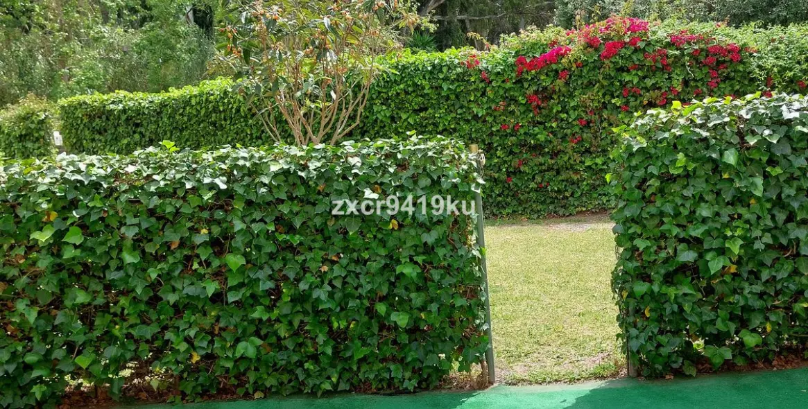 Продажа апартаментов на первом этаже в Marbesa 19