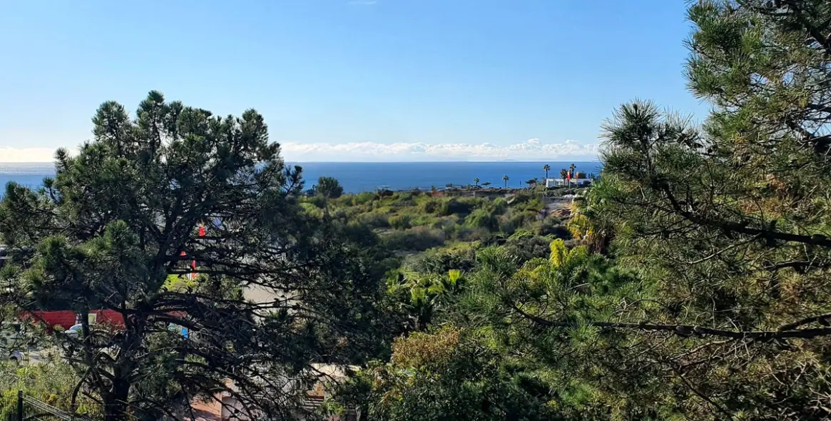 Sale of middle floor apartment in Estepona 9