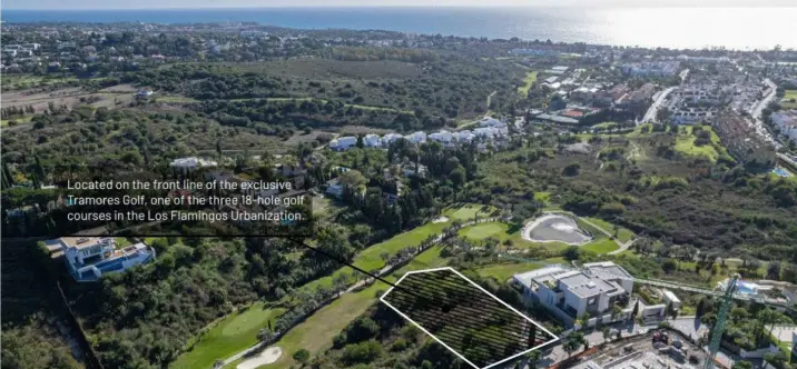 Sale of residential plot in Los Flamingos 0