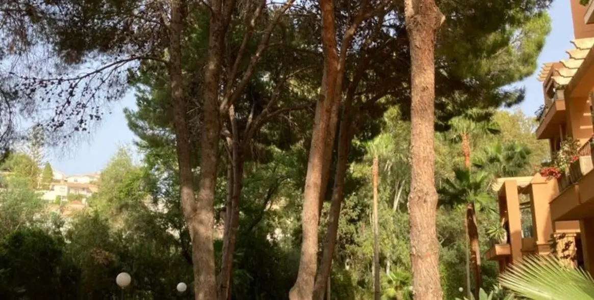 Долгосрочная аренда апартаментов на первом этаже в Carvajal 11