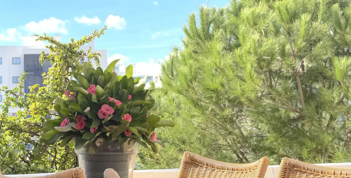 Продажа апартаментов на среднем этаже в Higueron 10